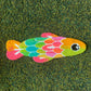 rainbow fish