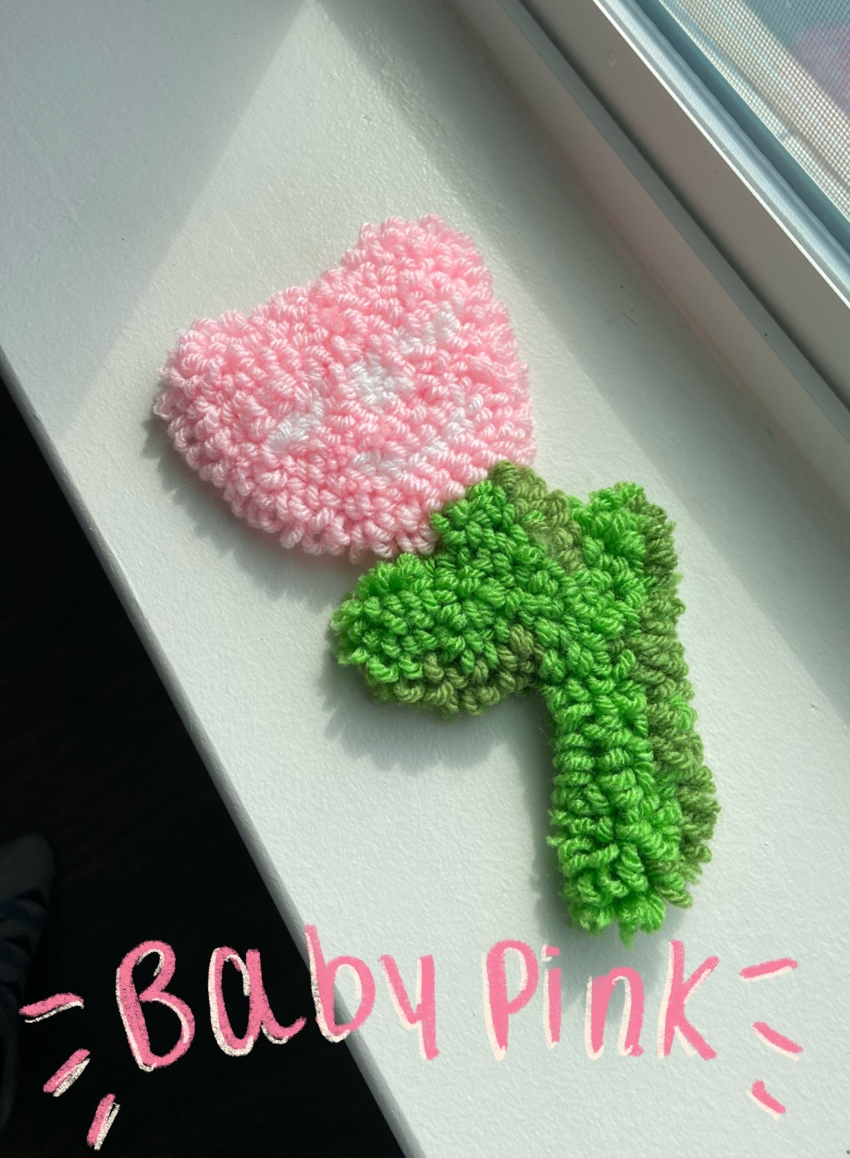 mini tulips